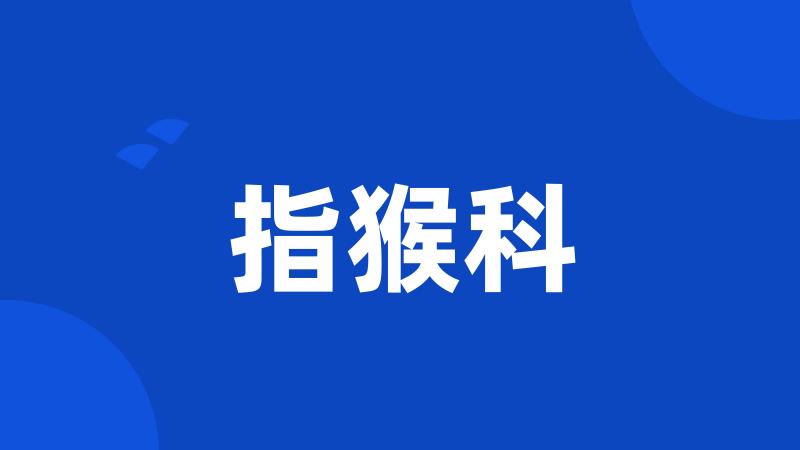 指猴科