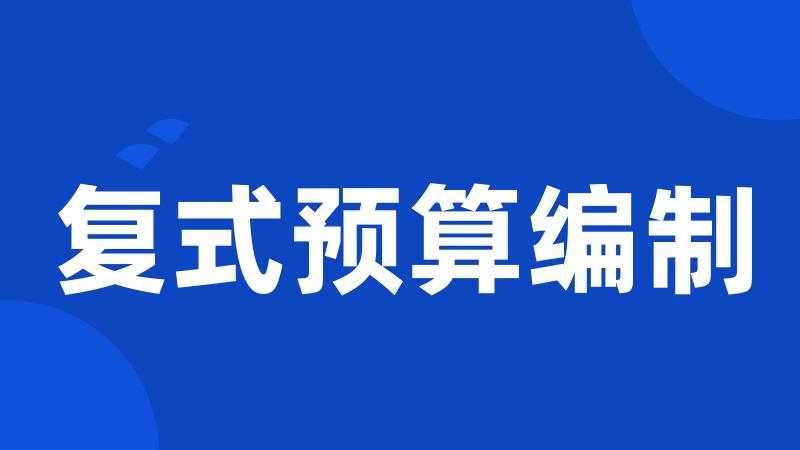 复式预算编制