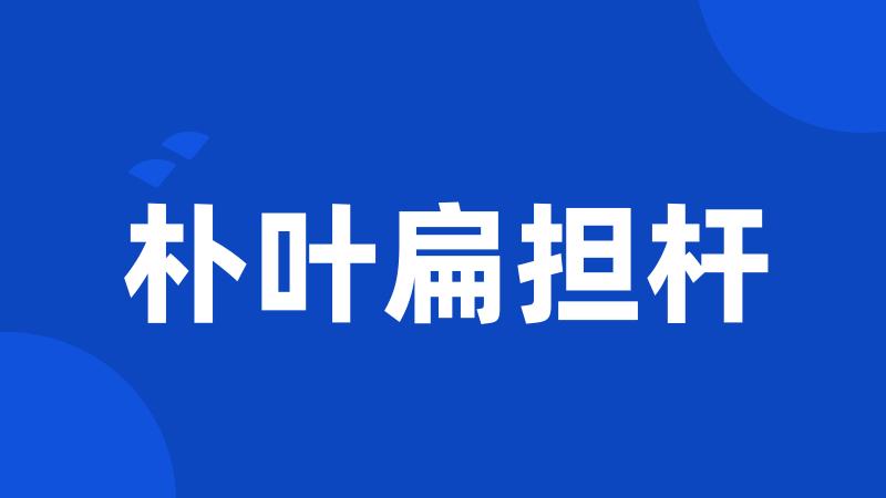 朴叶扁担杆