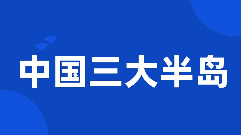 中国三大半岛