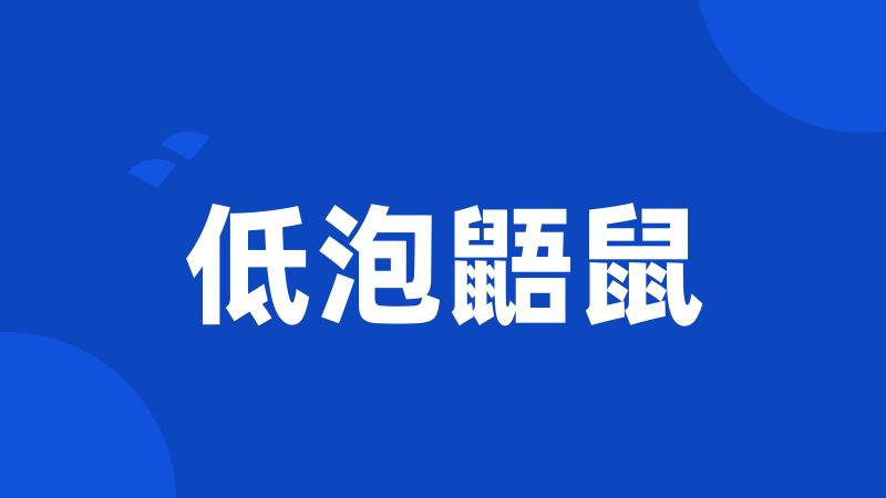 低泡鼯鼠