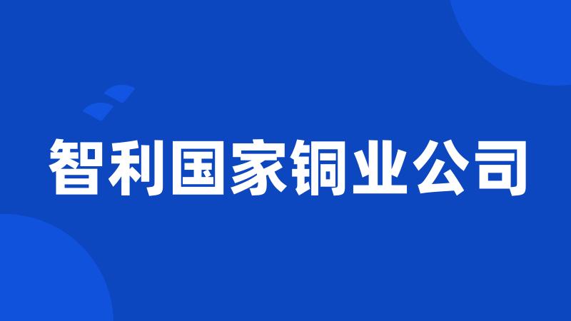 智利国家铜业公司
