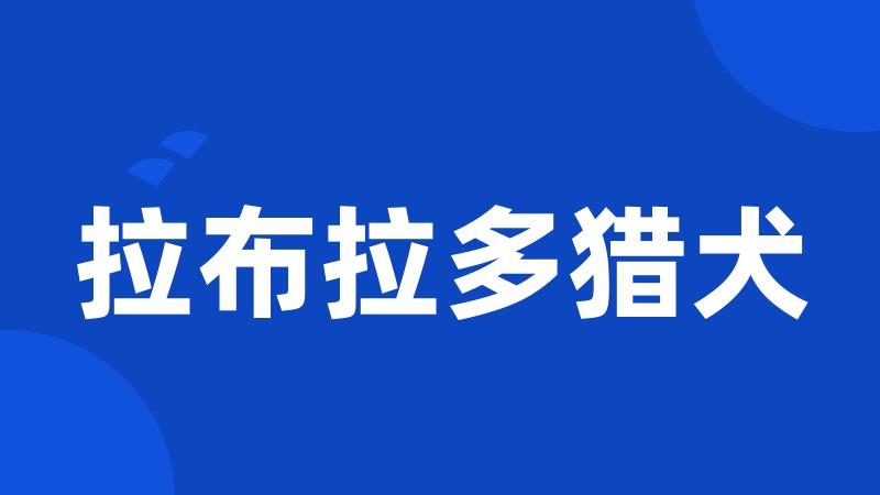拉布拉多猎犬