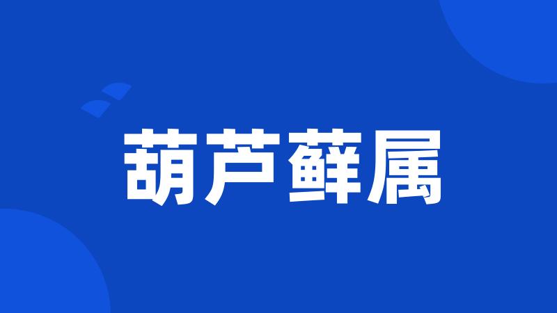 葫芦藓属