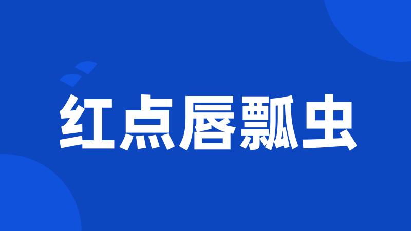 红点唇瓢虫