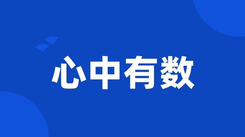 心中有数