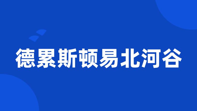德累斯顿易北河谷
