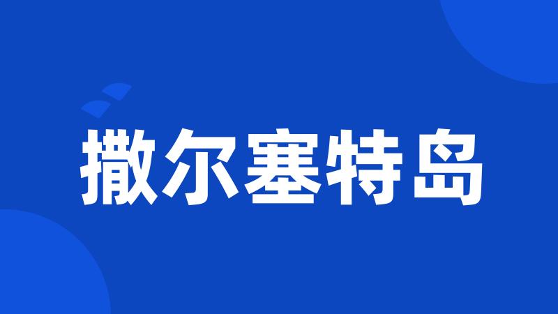 撒尔塞特岛