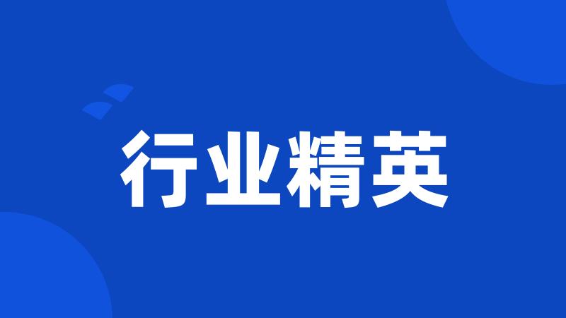行业精英
