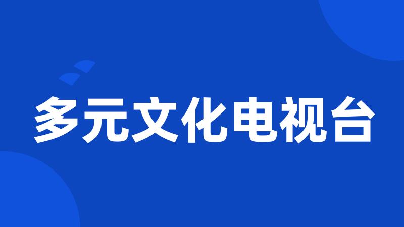 多元文化电视台