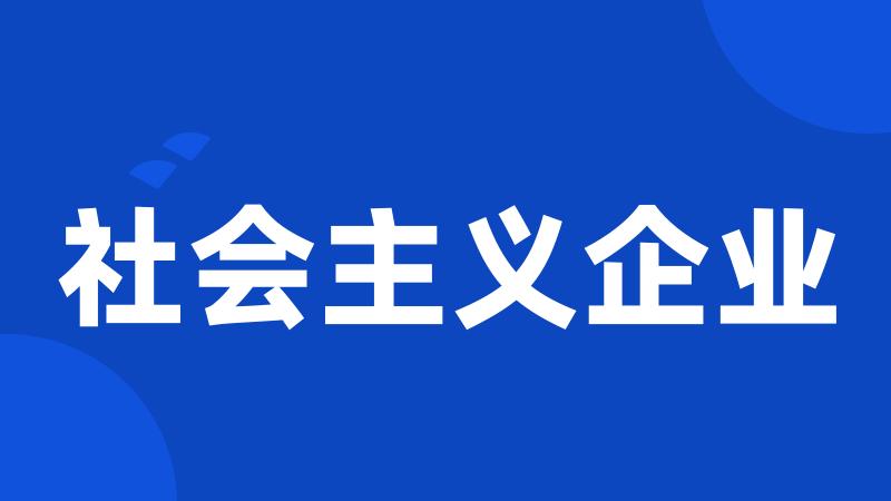 社会主义企业