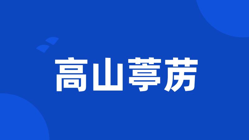高山葶苈