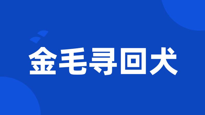 金毛寻回犬