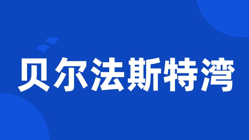 贝尔法斯特湾