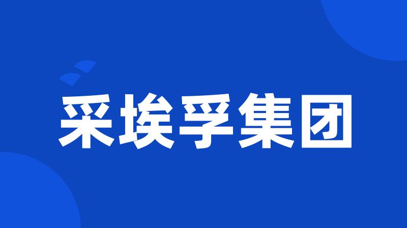 采埃孚集团