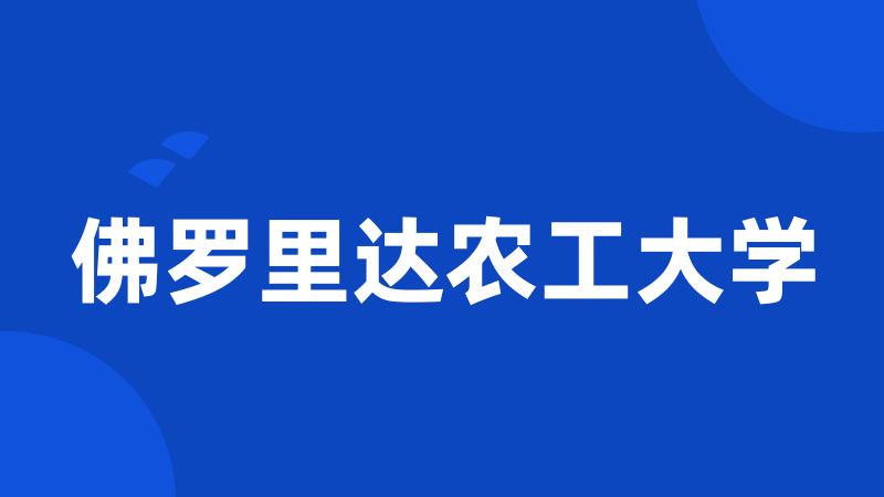 佛罗里达农工大学