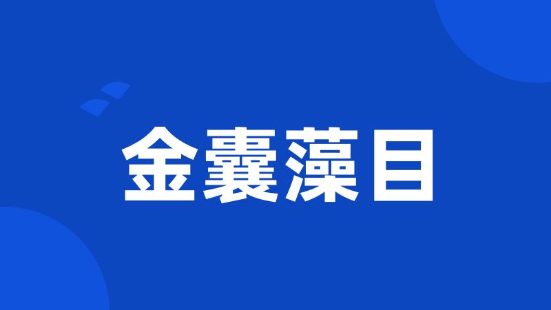 金囊藻目