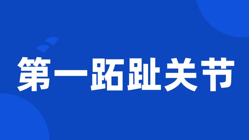 第一跖趾关节