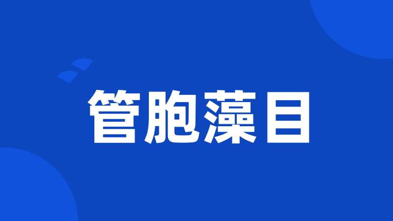 管胞藻目