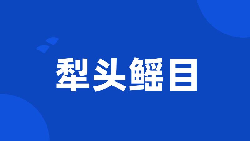 犁头鳐目