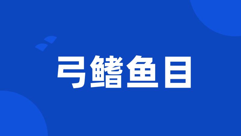 弓鳍鱼目