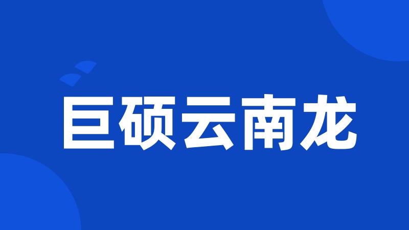 巨硕云南龙