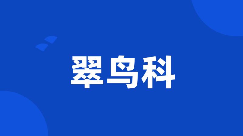 翠鸟科