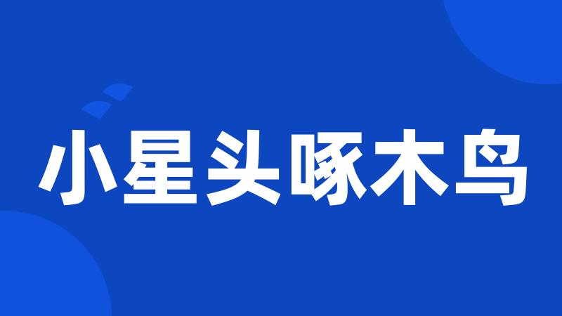 小星头啄木鸟