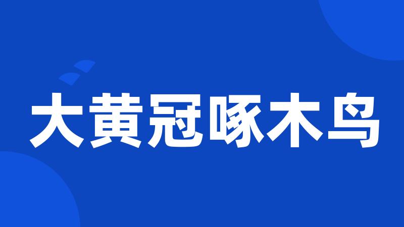 大黄冠啄木鸟