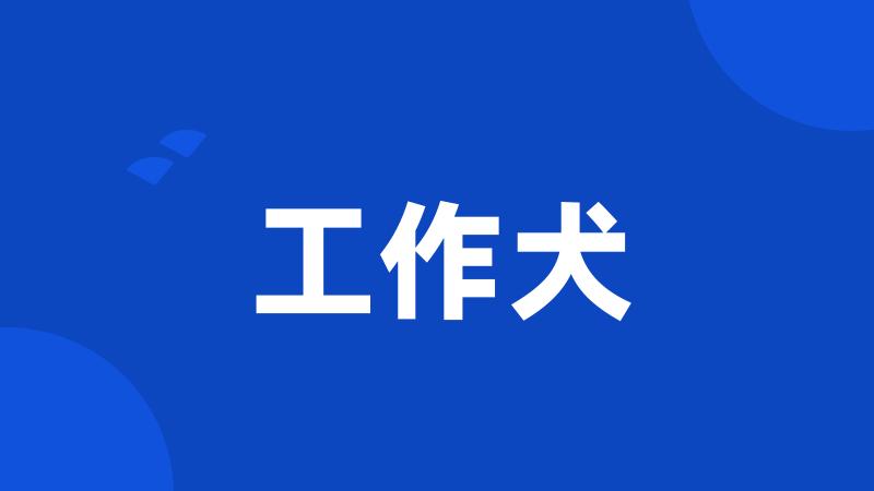 工作犬