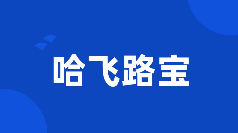 哈飞路宝