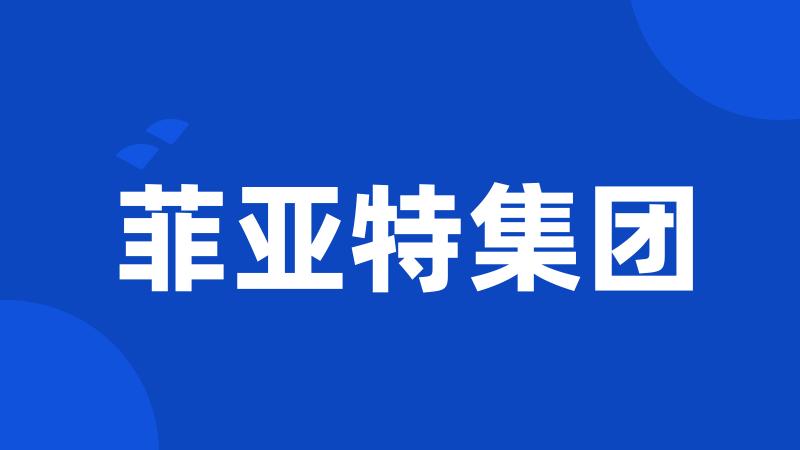 菲亚特集团