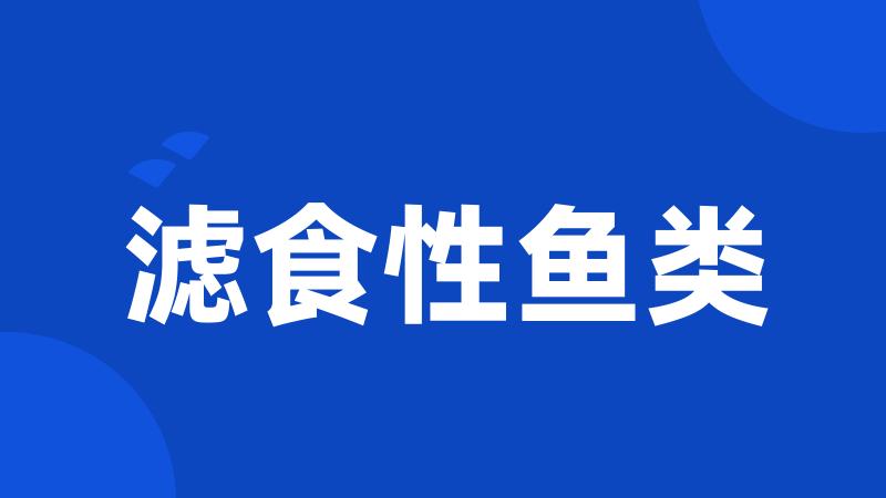 滤食性鱼类