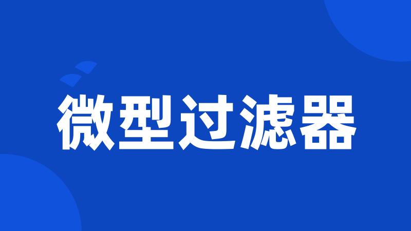 微型过滤器