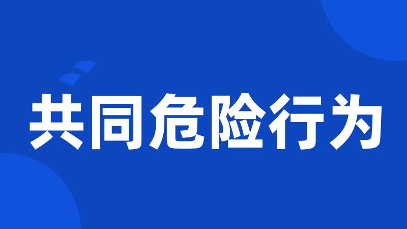 共同危险行为
