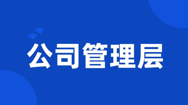 公司管理层
