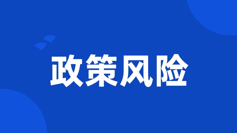 政策风险
