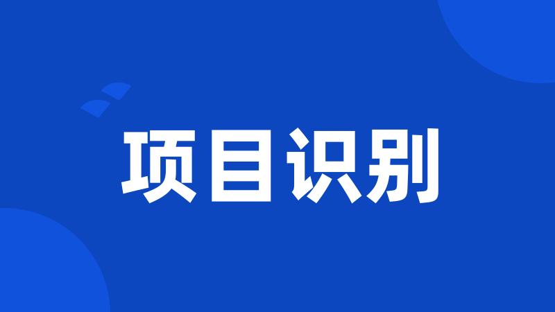 项目识别
