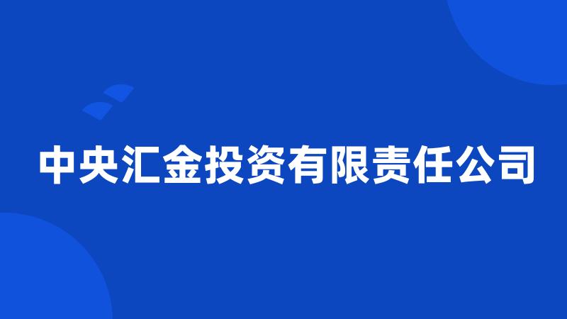 中央汇金投资有限责任公司