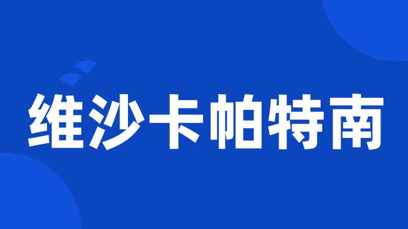 维沙卡帕特南