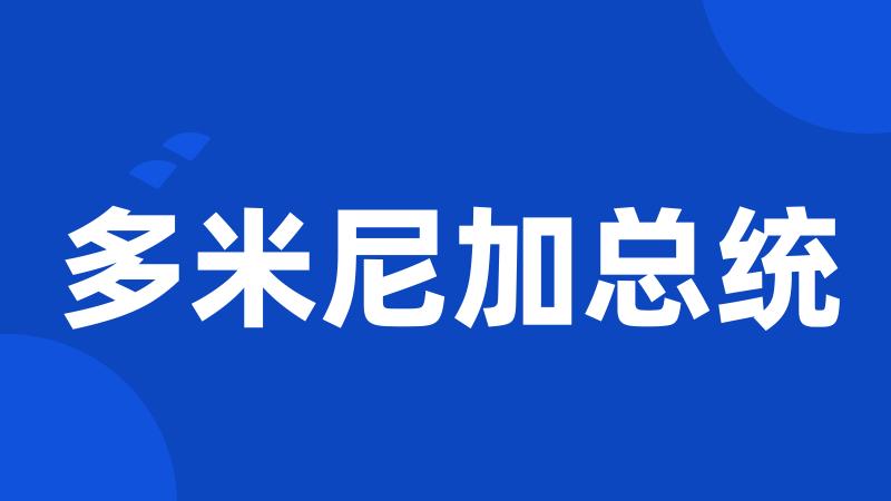 多米尼加总统