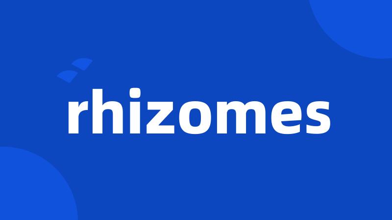 rhizomes