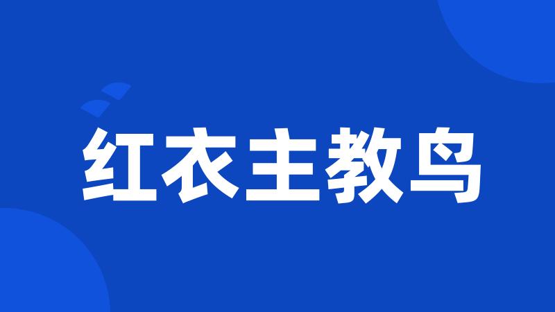 红衣主教鸟