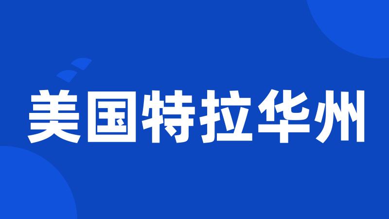 美国特拉华州