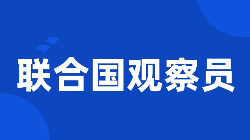 联合国观察员
