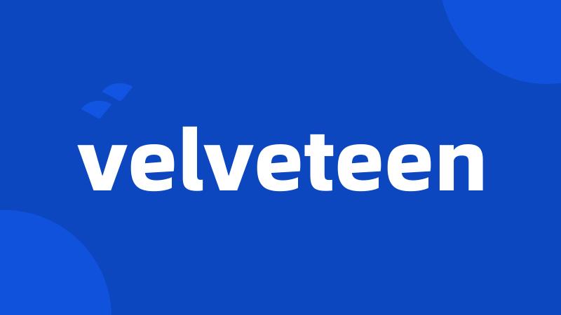 velveteen