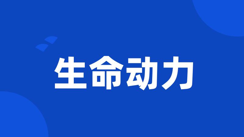 生命动力