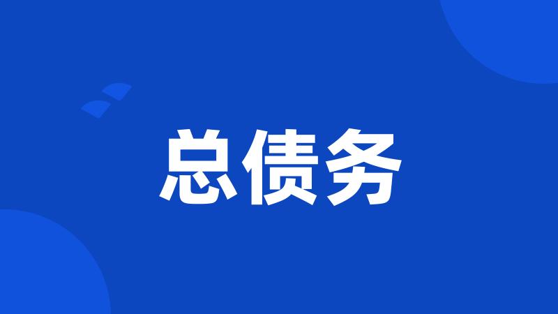 总债务