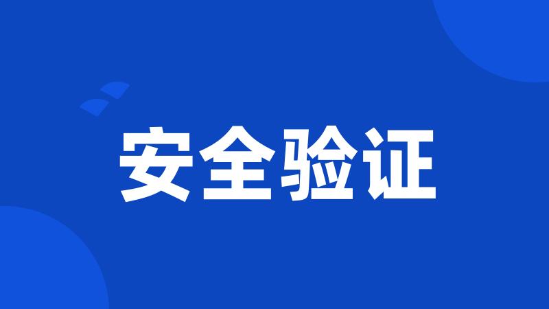 安全验证