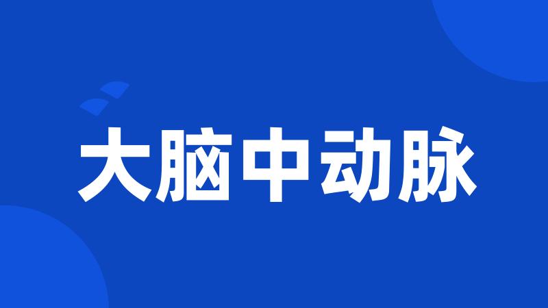 大脑中动脉